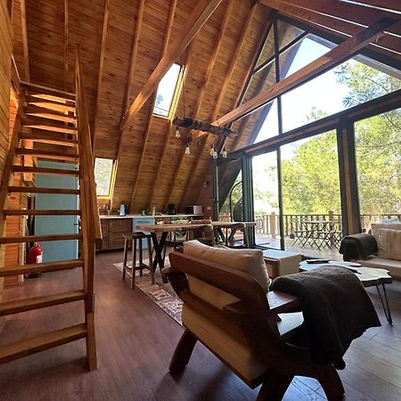 Panurlawoodenhouse Oezel Havuz& Sauna Mavi Bagian luar foto
