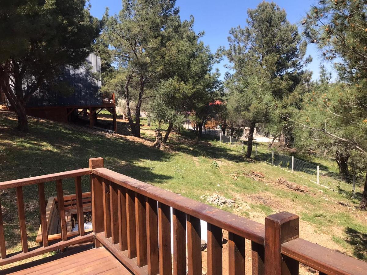 Panurlawoodenhouse Oezel Havuz& Sauna Mavi Bagian luar foto