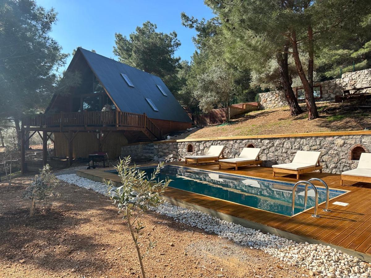 Panurlawoodenhouse Oezel Havuz& Sauna Mavi Bagian luar foto