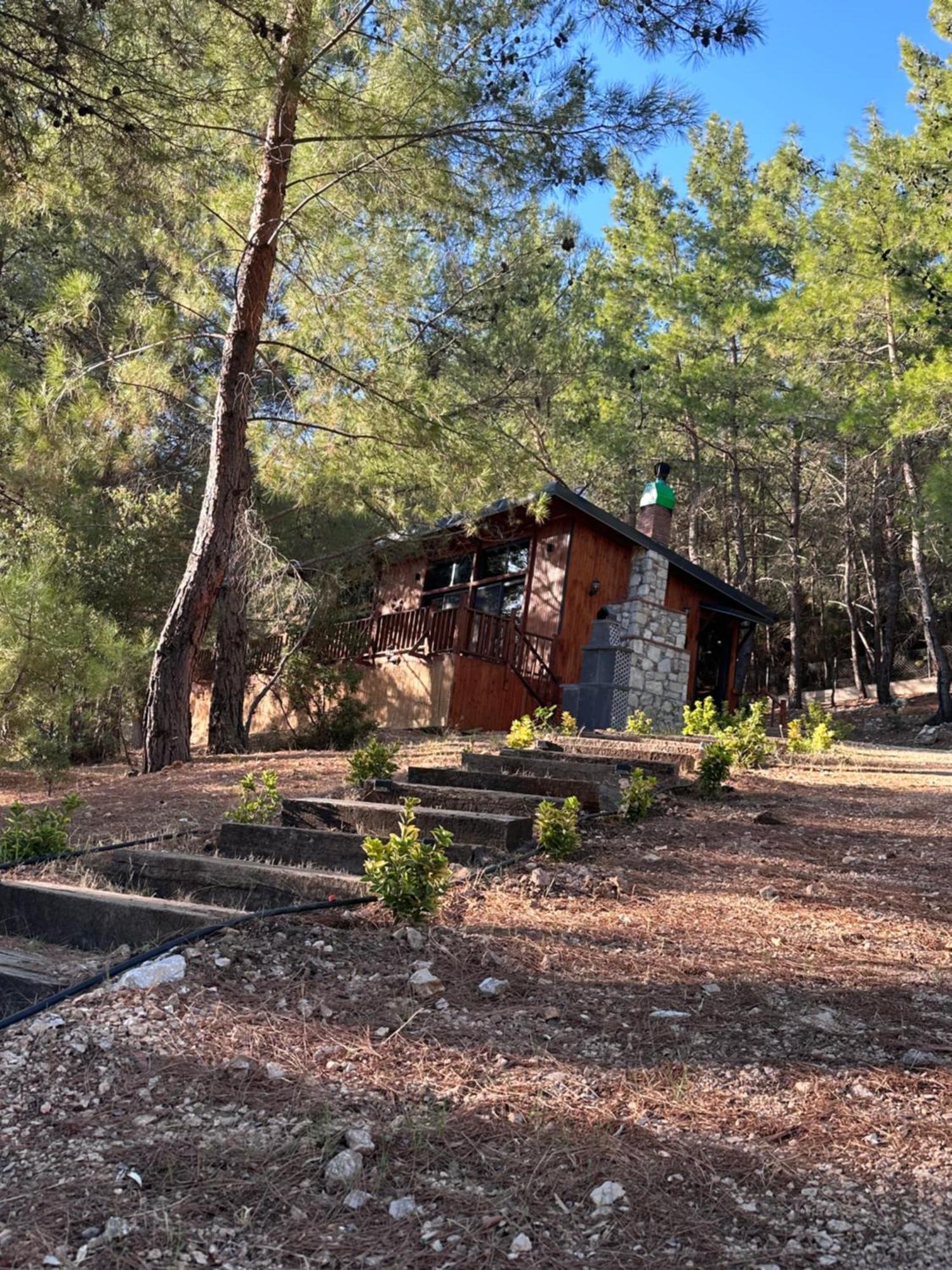 Panurlawoodenhouse Oezel Havuz& Sauna Mavi Bagian luar foto